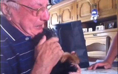 Widowed Grandfather Sobs Over Surprise Gift of Yorkie Puppy