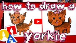 learn how to draw a cute yorkie